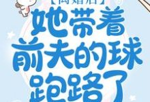 林湘程修齐为主角的小说离婚后,她带着前夫的球跑路了在线阅读-经典文学