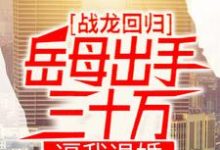 小说《战龙回归：岳母出手三十万，逼我退婚》章节免费阅读-经典文学