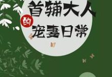 首辅大人的宠妻日常南苏钟离渊小说免费阅读-经典文学