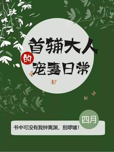 首辅大人的宠妻日常南苏钟离渊小说免费阅读