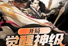 苏哲楚柔小说叫什么(开局觉醒神级辅助系统免费阅读)-经典文学