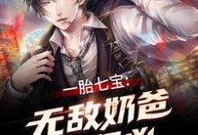 一胎七宝:无敌奶爸超级凶小说,一胎七宝:无敌奶爸超级凶免费阅读-经典文学