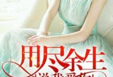 用尽余生说我爱你这本小说怎么样？免费在线阅读试试-经典文学