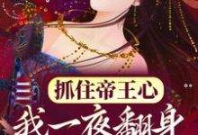 抓住帝王心，我一夜翻身成宠妃小说全文哪里可以免费看？-经典文学