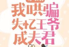 主角叫沈小棠君冥夜的小说在哪阅读-经典文学