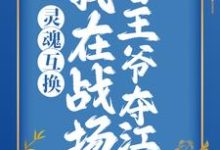 灵魂互换：我在战场替王爷夺江山这本小说在哪里可以看？哪里有免费试读章节？-经典文学