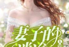 寻找能够免费阅读人到三十:妻子的迷途小说的平台-经典文学