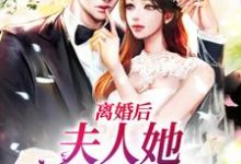离婚后,夫人她带崽出国了秦向晚顾柏瀚,离婚后,夫人她带崽出国了在线无弹窗阅读-经典文学