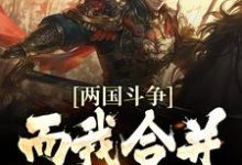 两国斗争，而我合并天下小说全文哪里可以免费看？-经典文学