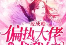 一夜成瘾，偏执大佬天天求我嫁（唐裳傅烨畇）在线免费阅读-经典文学