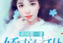 《帝国第一宠：娇妻好甜》全集免费在线阅读（乔晚安厉云霆）-经典文学