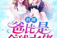 温言傅少诚小说叫什么（妈咪，爸比是全球大佬！免费阅读）-经典文学