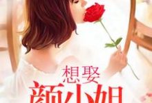 寻找能够免费阅读想娶颜小姐为妻小说的平台-经典文学