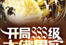 开局SSS级大佛果实，震惊世界陈叶小说免费阅读-经典文学