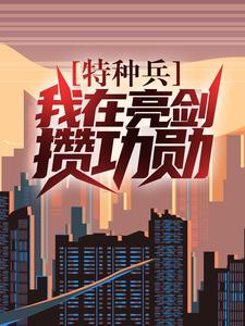 《特种兵：我在亮剑攒功勋》小说大结局免费试读 叶正阳小说