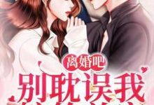 离婚吧,别耽误我嫁给首富小说,离婚吧,别耽误我嫁给首富 温淼淼傅衍衡-经典文学