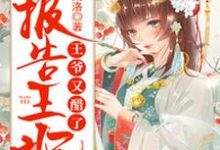 已完结小说《报告王妃,王爷又醋了》最新章节-经典文学