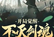 小说《开局觉醒不灭剑魂》章节免费阅读-经典文学