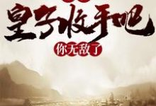 杨昭为主角的小说叫什么？免费看隋唐：皇子收手吧，你无敌了-经典文学