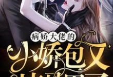 主角叫纪凌宸冷晔冷烨海城的小说在哪阅读-经典文学