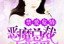 在线寻找顾婉雪慕轩宸慕北城的小说,恶魔总裁坏坏爱免费阅读-经典文学