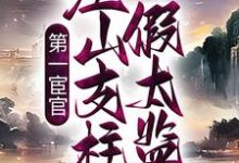 已完结小说《第一宦官:江山支柱假太监》最新章节-经典文学