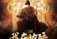 小说《三国:我在边陲,扩张家族地盘》章节阅读-经典文学