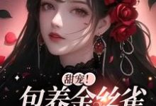 于清欢萧舒婉为主角的小说好看吗？免费读甜宠！包养金丝雀，狗粮满天飞-经典文学
