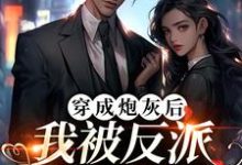 小说《穿成炮灰后,我被反派夫人拉黑了》在线章节阅读-经典文学