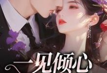 小说《一见倾心,再见深情》在线章节阅读-经典文学