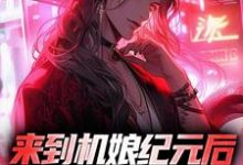 来到机娘纪元后，我杀疯了小说，来到机娘纪元后，我杀疯了最新章节-经典文学
