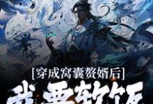 完结版《穿成窝囊赘婿后,我要软饭硬吃!》章节阅读-经典文学