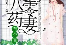重生八零药妻有空间最新章节，重生八零药妻有空间章节在线阅读-经典文学