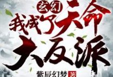 玄幻：我成了天命大反派 姬凤歌东皇红莲在线章节免费阅读-经典文学