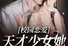 小说《校园恋爱:天才少女她又美又飒》章节免费阅读-经典文学