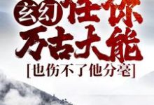 免费在线阅读玄幻:任你万古大能,也伤不了他分毫小说的正规网站有哪些?-经典文学