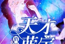 已完结小说《天才萌宝俏妈咪》最新章节-经典文学