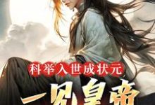 主人公叫唐寅的小说科举入世成状元，一见皇帝他麻了在线阅读章节-经典文学