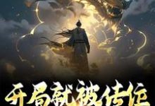已完结小说《开局就被传位,成为万古一帝》章节免费阅读-经典文学