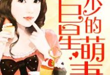 顾盼盼慕仲笙小说叫什么（帝少的巨星萌妻免费阅读）-经典文学