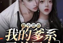 甜中带虐：我的爹系霸总男友小说的无弹窗阅读体验，寻找免费阅读网站-经典文学