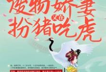 战王接嫁：废物娇妻又在扮猪吃虎小说完结版章节免费阅读-经典文学