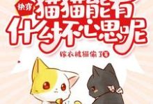 快穿:猫猫能有什么坏心思呢小说最新章节在哪里可以读到?-经典文学