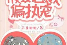 一念成婚：腹黑总裁偏执宠叶舒颜司皓晗在线章节免费阅读-经典文学