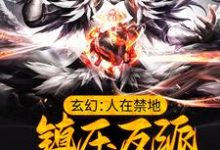 玄幻:人在禁地,镇压反派的我无敌了小说的无弹窗阅读体验,寻找免费阅读网站-经典文学