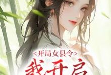 主角沈筝小说开局女县令,我开启基建之旅免费阅读-经典文学