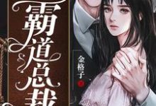 小娇妻的霸道总裁小说的无弹窗阅读体验，寻找免费阅读网站-经典文学