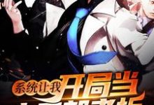 系统让我开局当小卖部老板主角沐风小说完结版章节在线阅读-经典文学