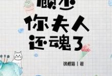顾少,你夫人还魂了章节免费在线阅读,苏暖宁顾笙泽完结版-经典文学