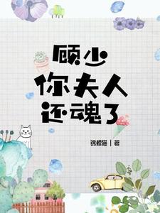 顾少，你夫人还魂了章节免费在线阅读，苏暖宁顾笙泽完结版